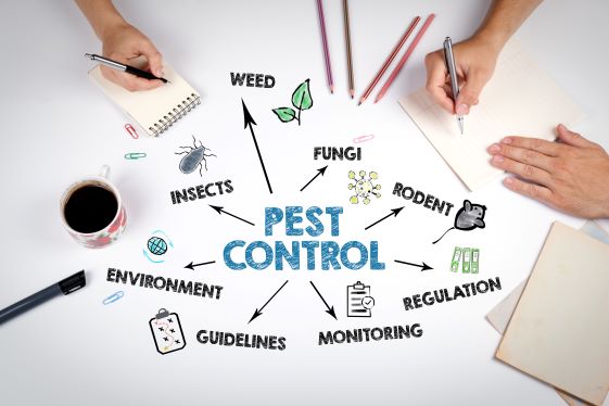 Pest Control Team